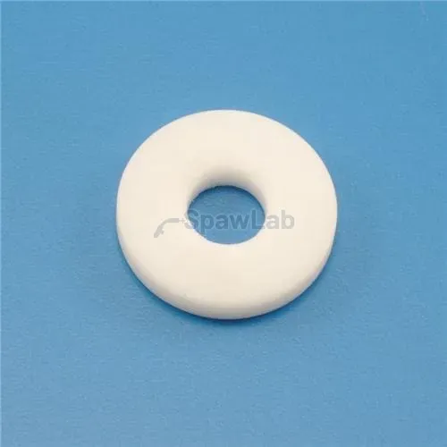 Migatronic Dichtung PTFE Ø19,5/Ø7X3
