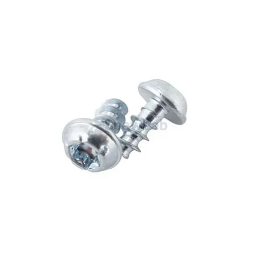 Migatronic Screw with flange 4×10 T20