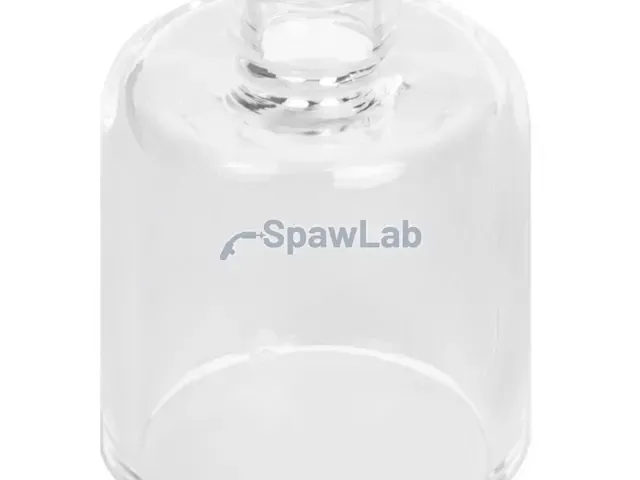 Spartus Gas nozzle #6 Quartz NQ 9/20 and 17/18/26 lens Jumbo