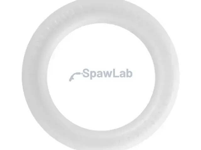 Spartus O-ring for protective lens