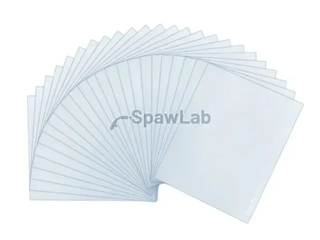 Spartus Schutzscheibe aus Polycarbonat 123 x 98 mm für den Schweißhelm Spartus Easy 101X (außen)