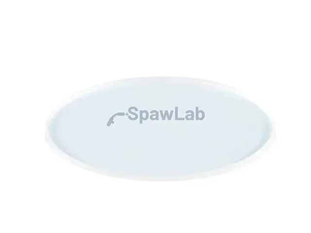 Spartus outer protective window 43*2 [303/313CL pulse]