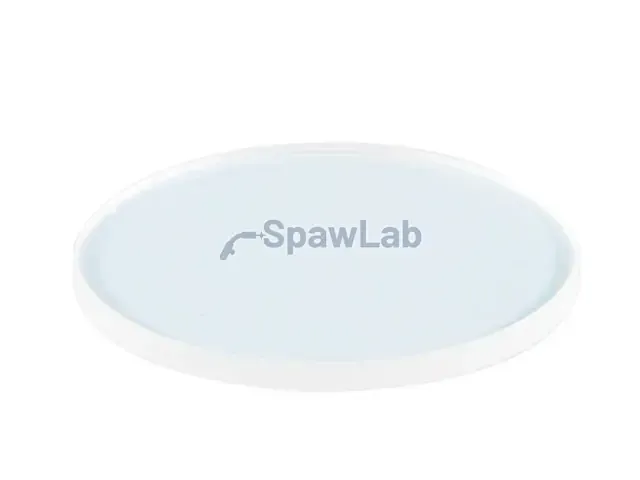 Spartus outer protective window 48*3 [203CL Pulse]